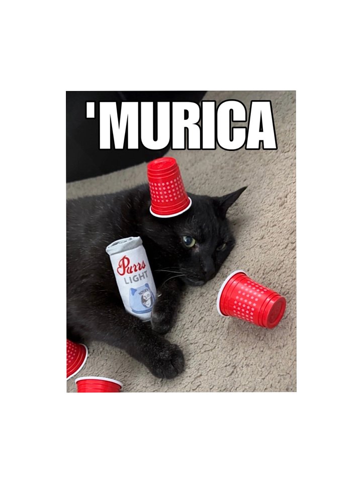 'Murica sticker product image (1)