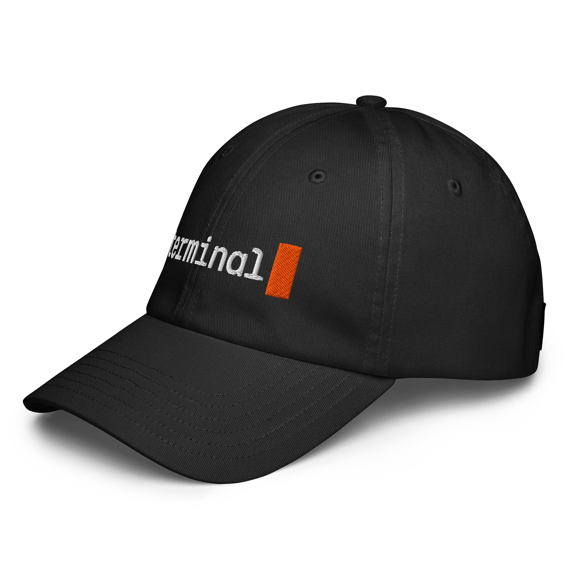 Terminal Dad Hat product image (3)