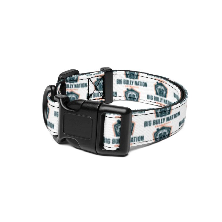 BBN Logo 1 Pet Collar product image (1)