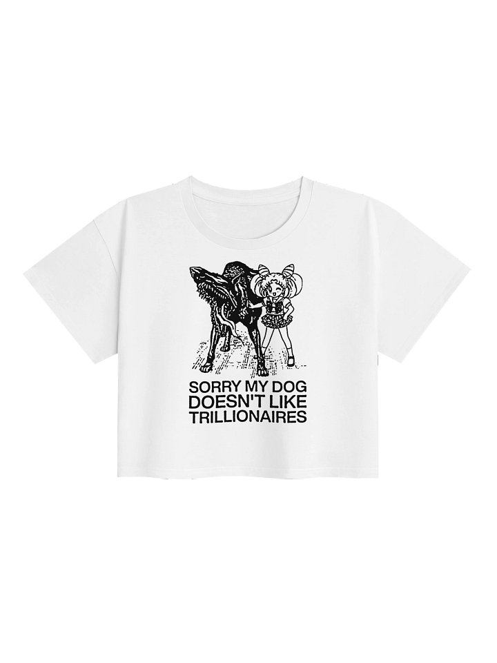 SORRY ! Croptops. white vers. product image (1)
