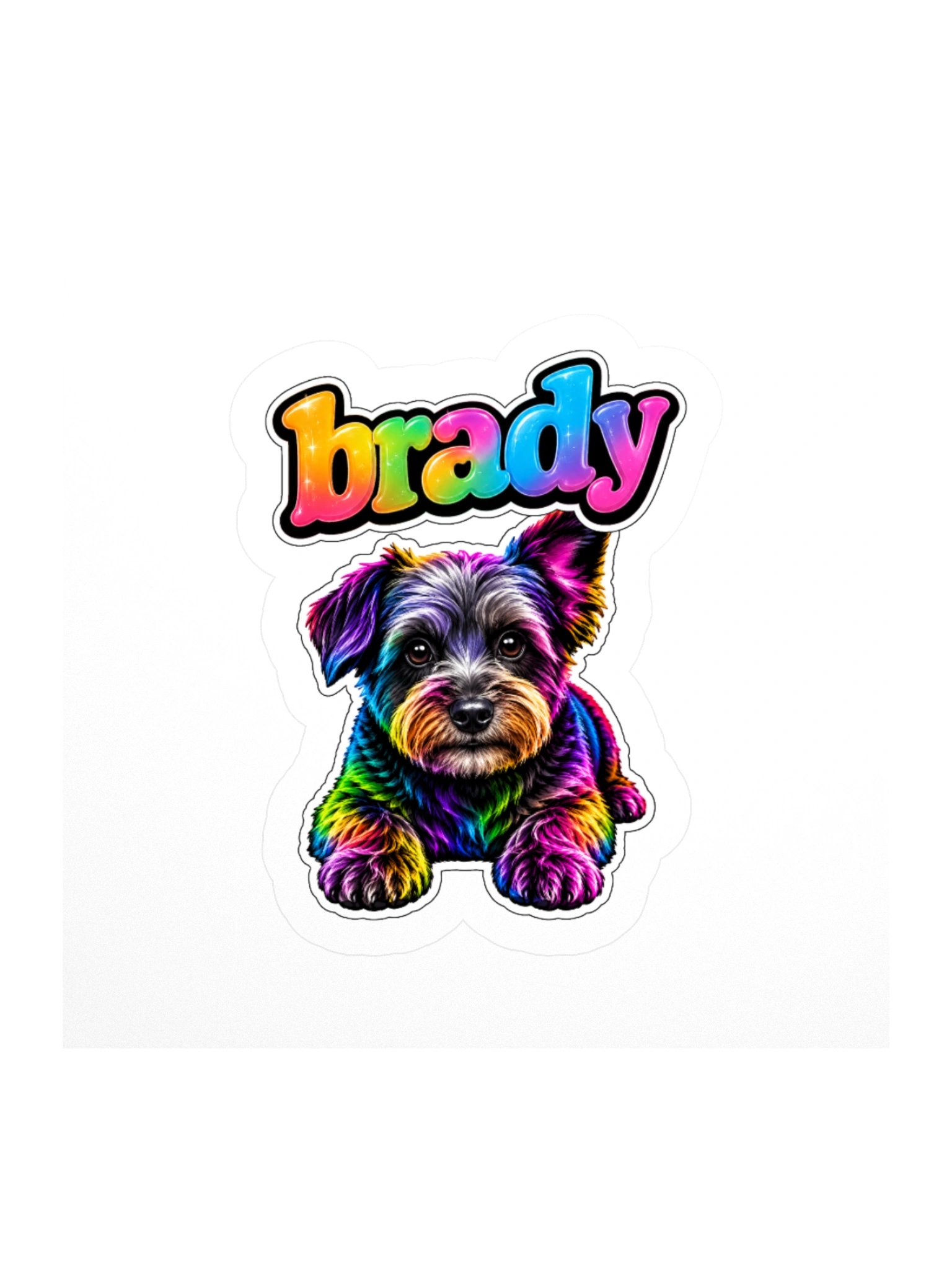 BRADY STICKER product image (1)