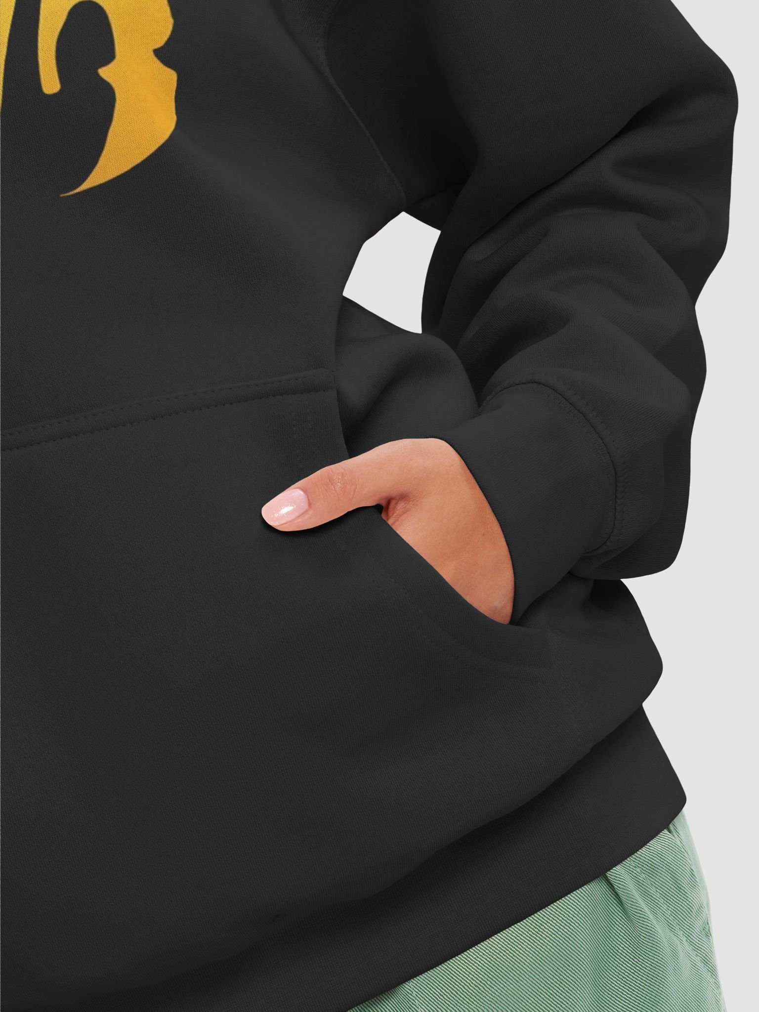 WB Logo 2026 Hoodie product image (8)