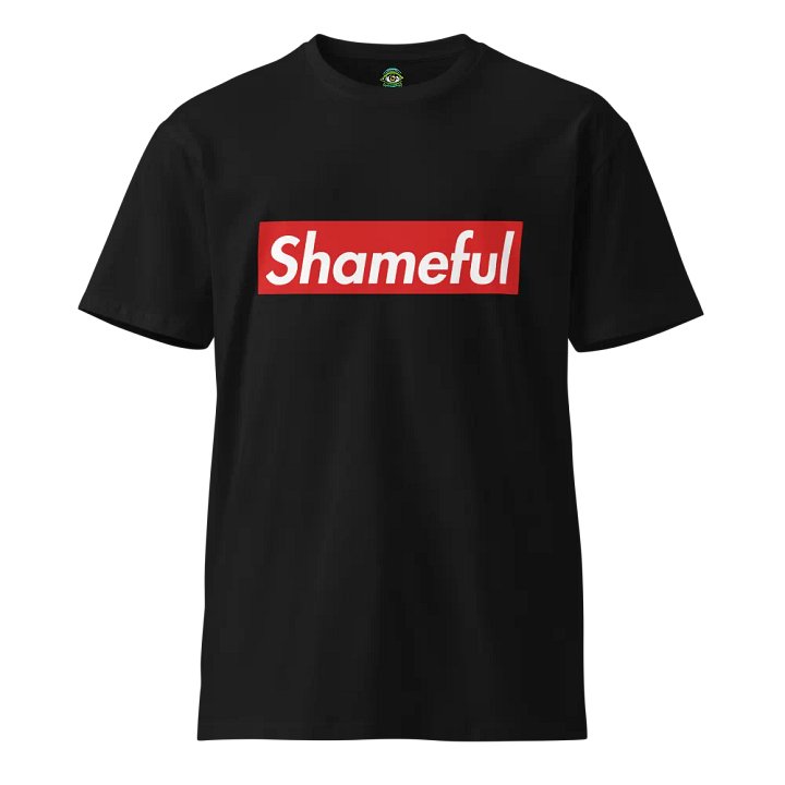 Shameful T-Shirt product image (1)