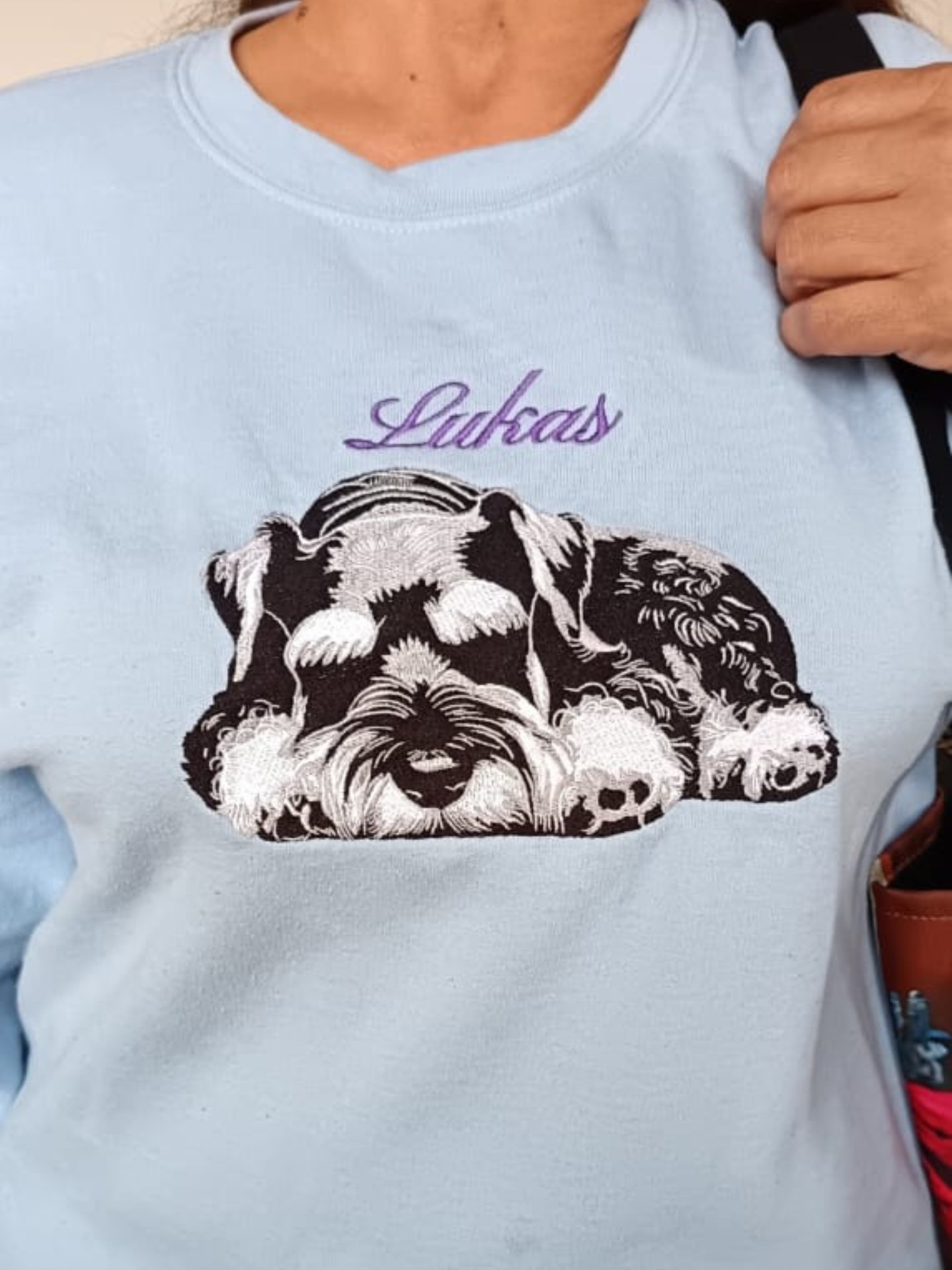 LUKAS💙 / EMBROIDERED SWEATSHIRT product image (1)