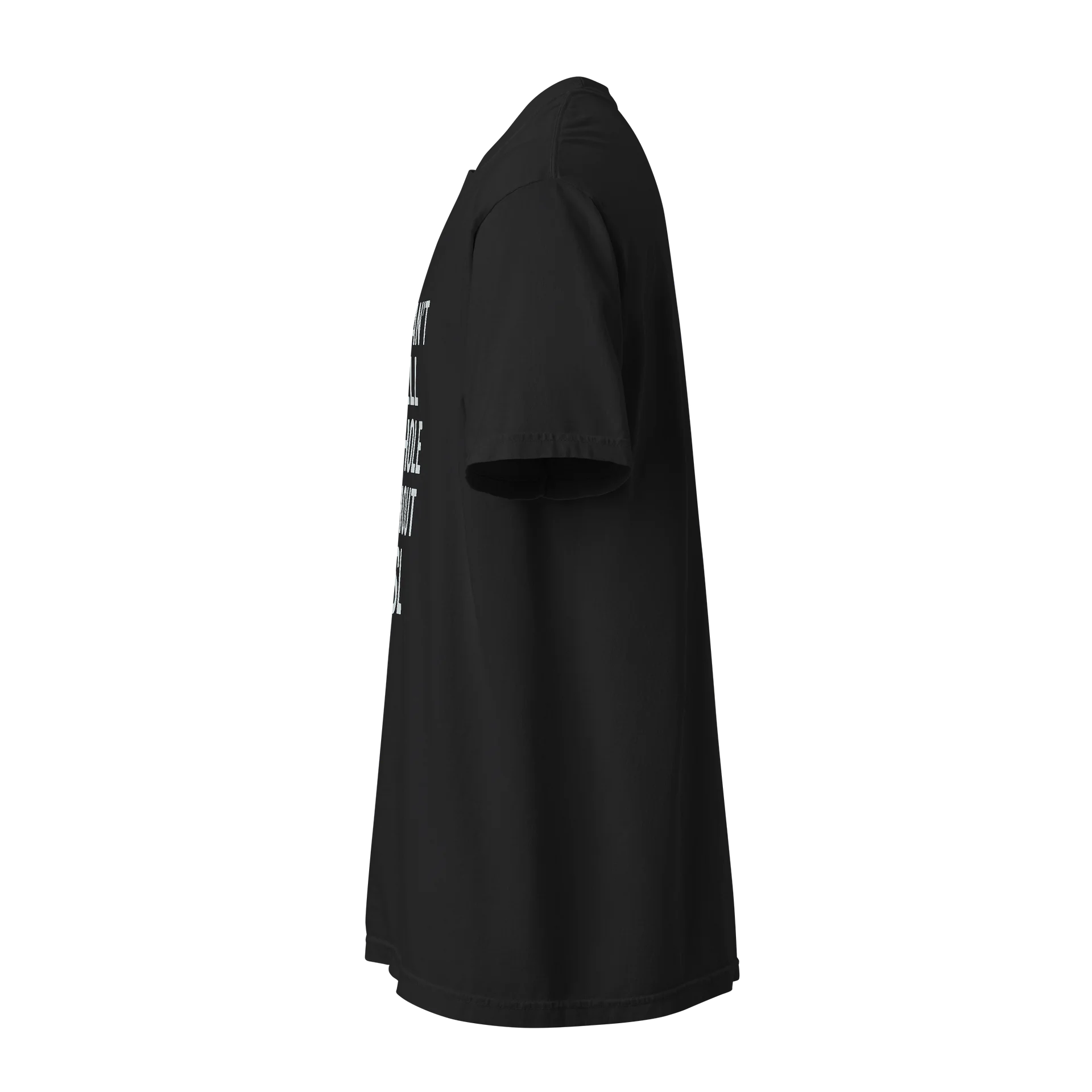 The A$$HOLE Tshirt product image (2)