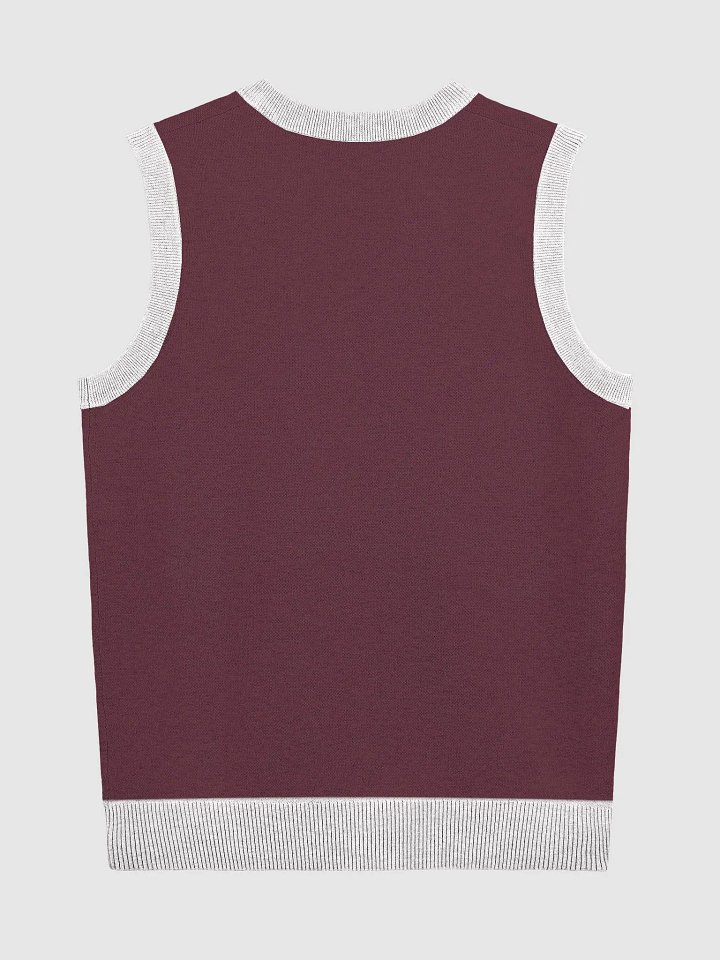 Alternate Sweater Vest product image (2)