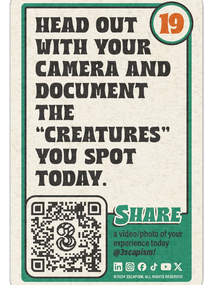 Adventure Cards product image (5)