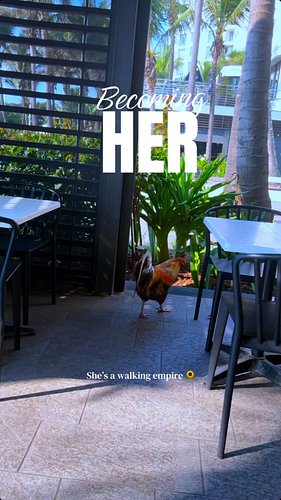 Nomalanga Rising 🌻🌻🌻 #becomingher #theherjourney #iamthatiam