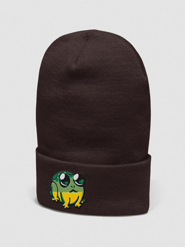Froog Beanie product image (10)