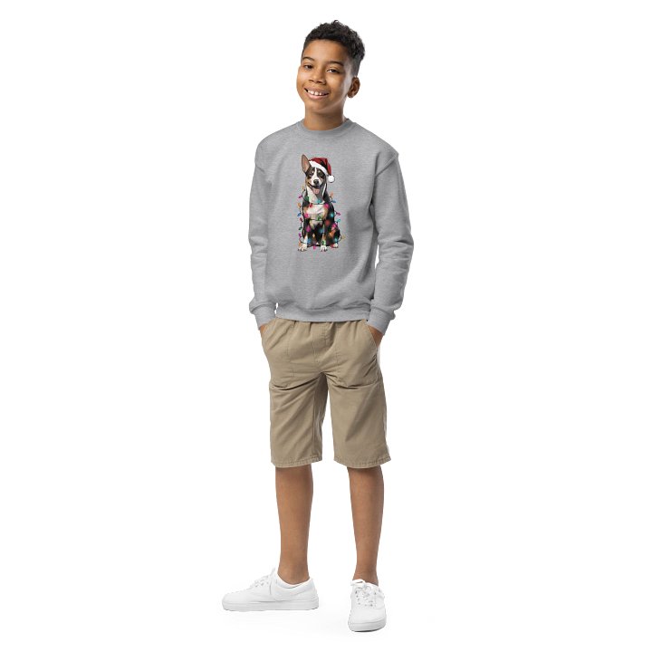 Funny Christmas Basenji(Tricolor) Youth Sweatshirt product image (1)