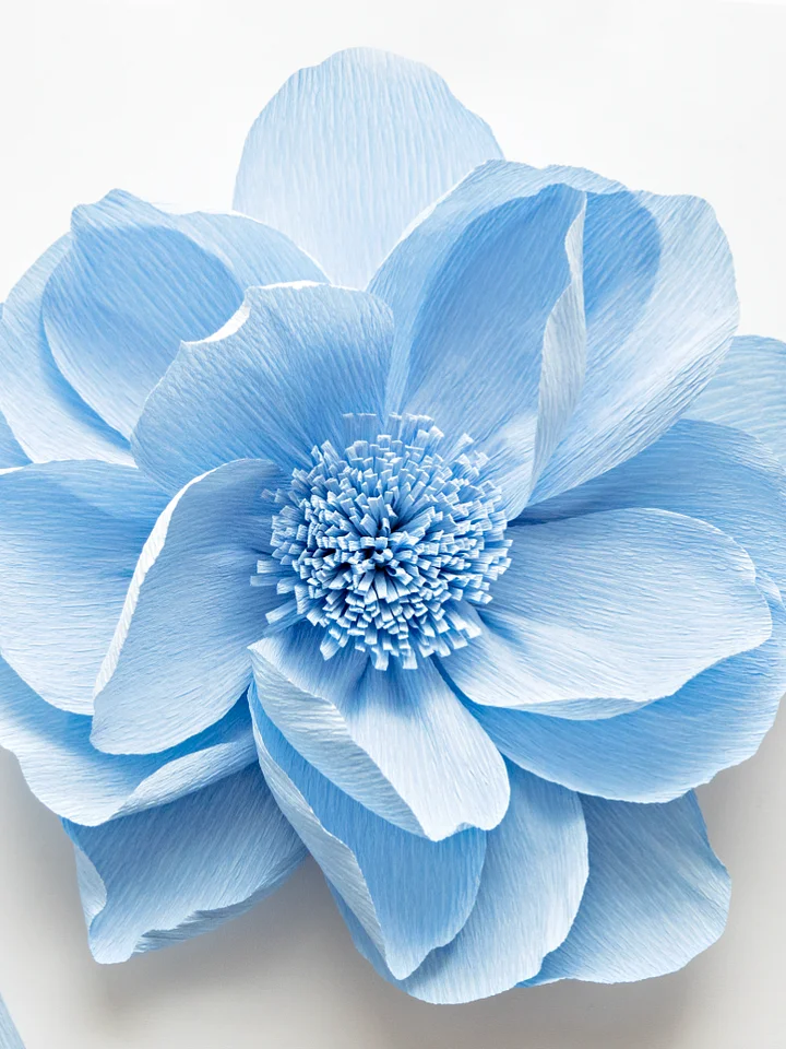 DIY Giant Crepe Paper Flower: Templates from Video Tutorial product image (1)