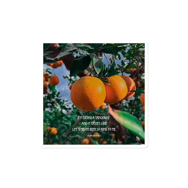 Life's never been so kind to me- Tangerine Magnet product image (2)