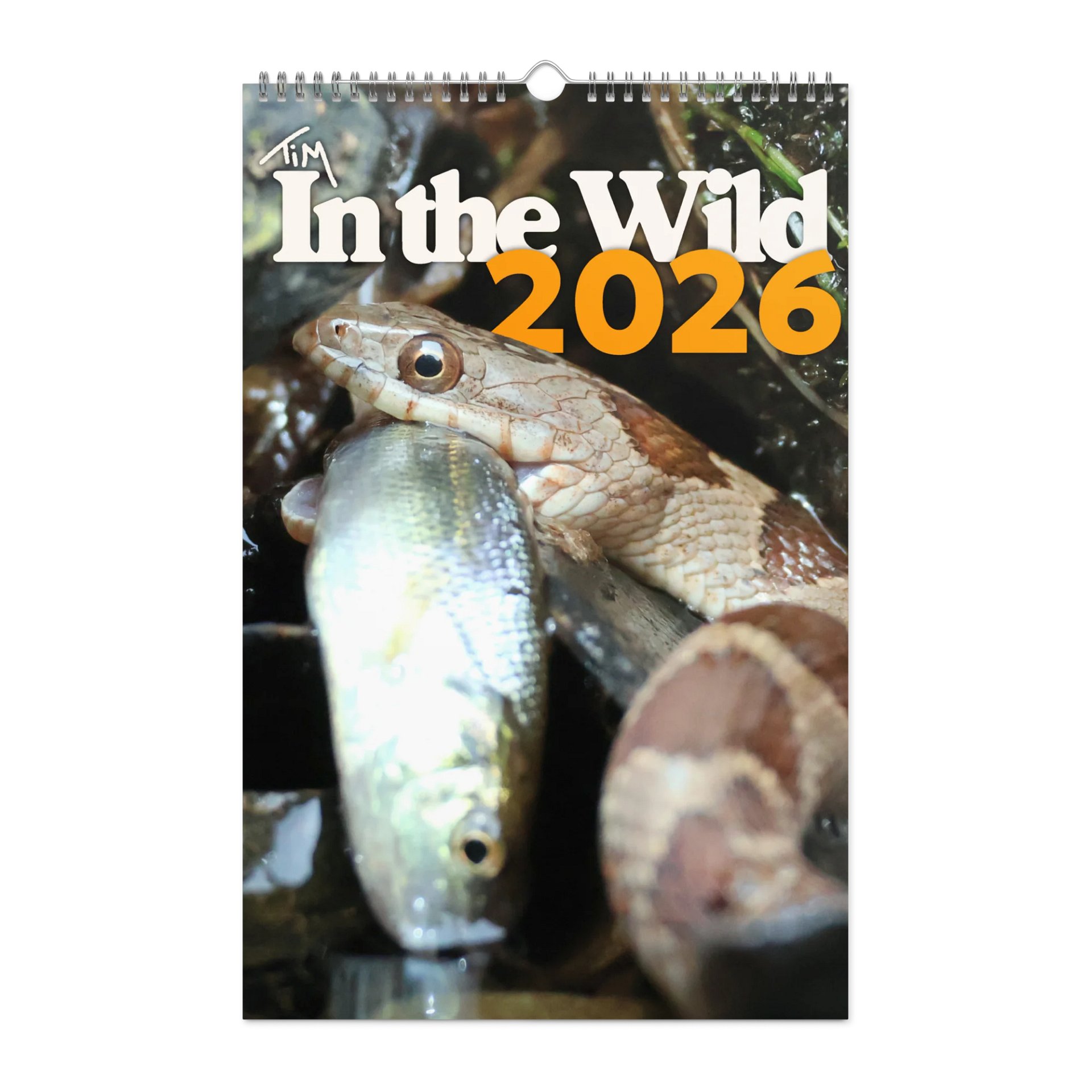 2026 Wall Calendar product image (1)