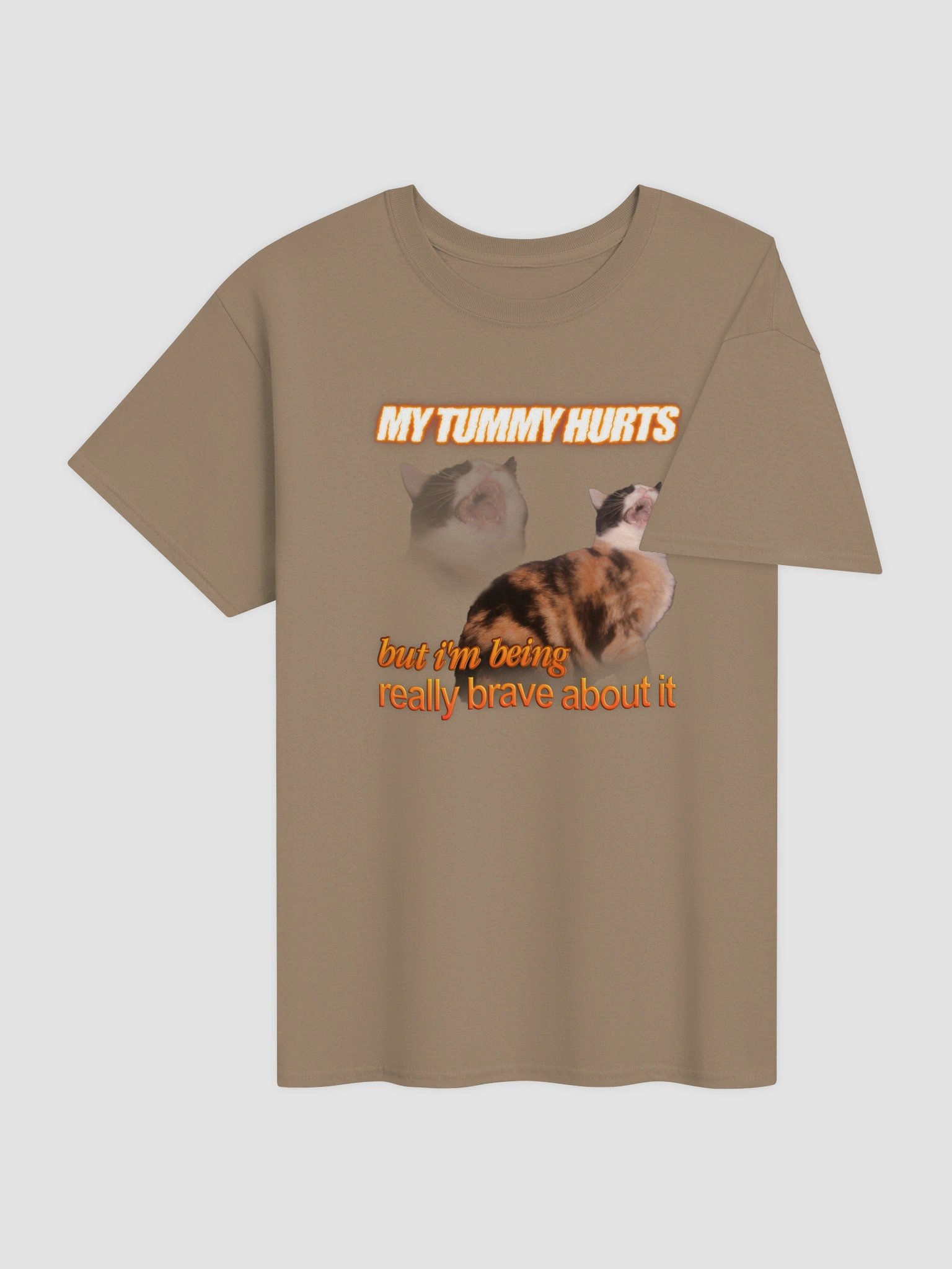 My Tummy Hurts and I'm Bring Really Brave - Cat T-shirt product image (5)