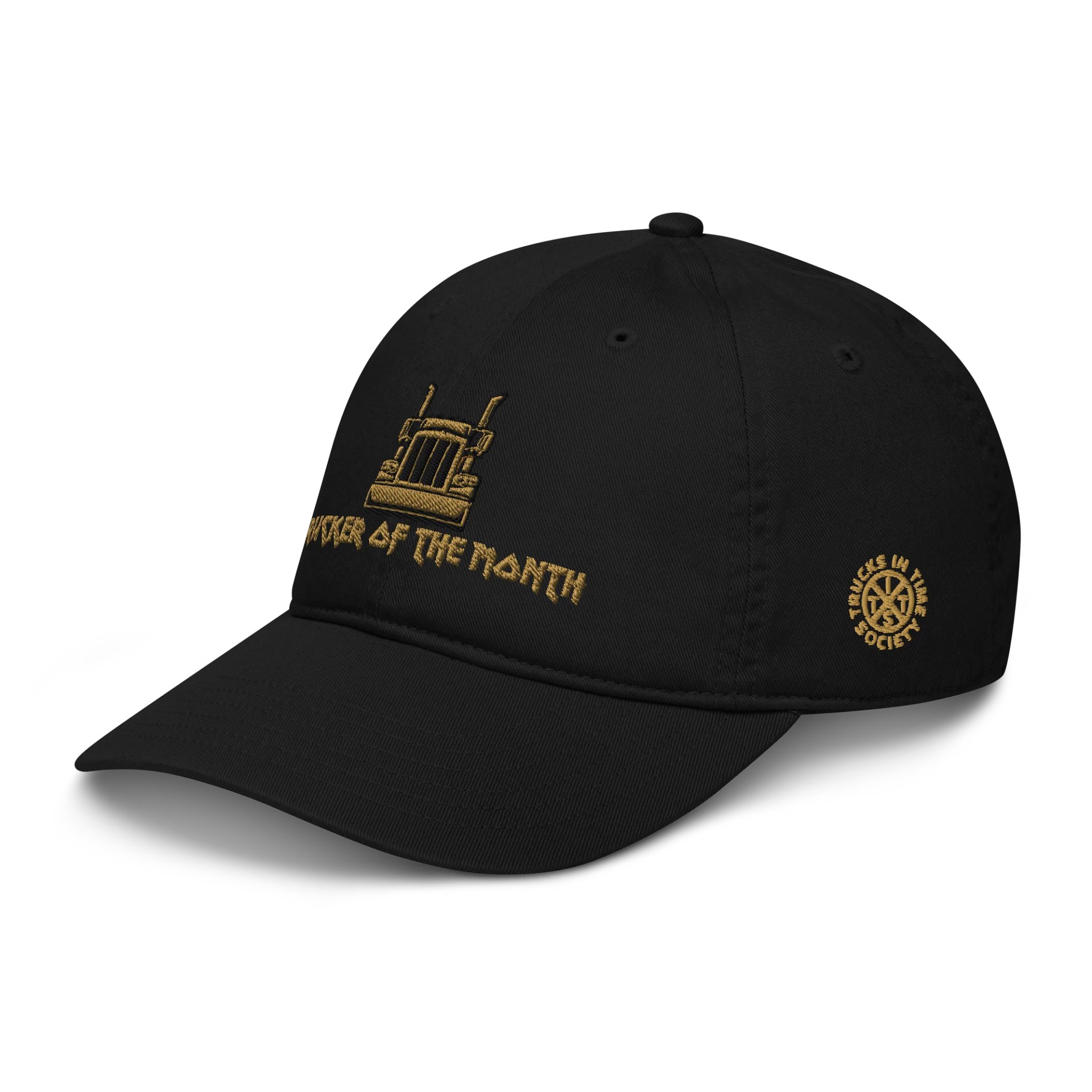 TITS TOTM Dad Hat product image (5)