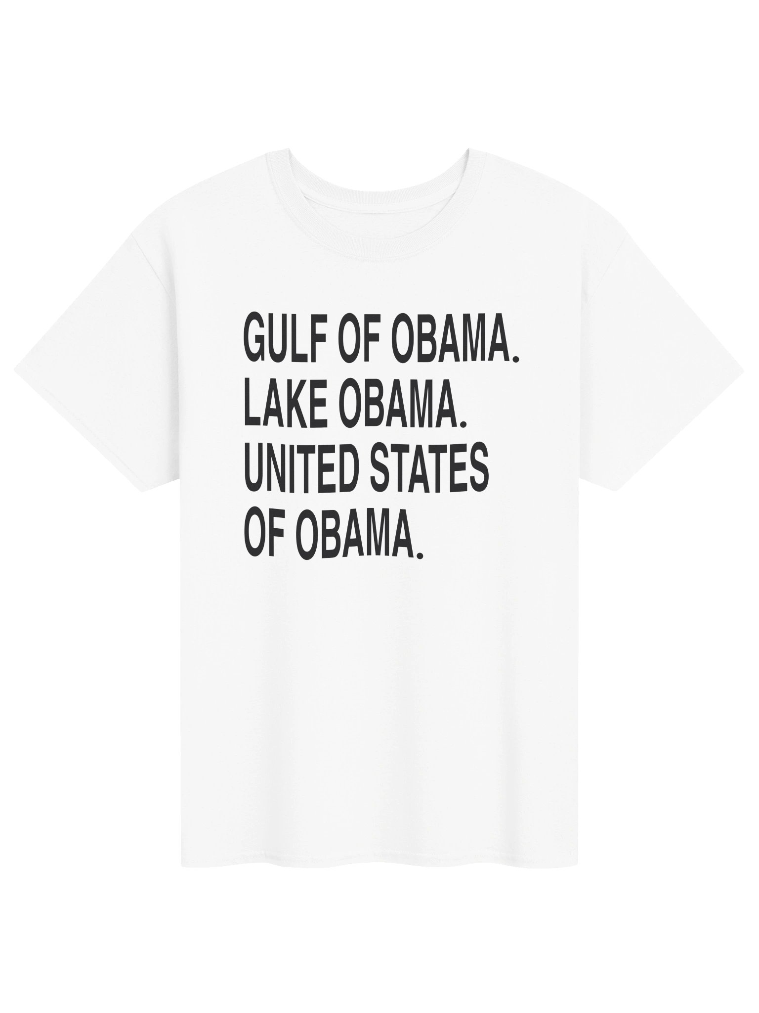 Gulf of Obama Lake Obama Political Satire T-Shirt product image (55)