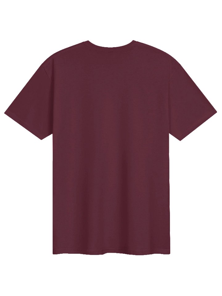 AI TOOK NOTHING EXCEPT MY CERTAINTY | AI Anxiety Shirt for Tech Professionals Gift Idea product image (2)