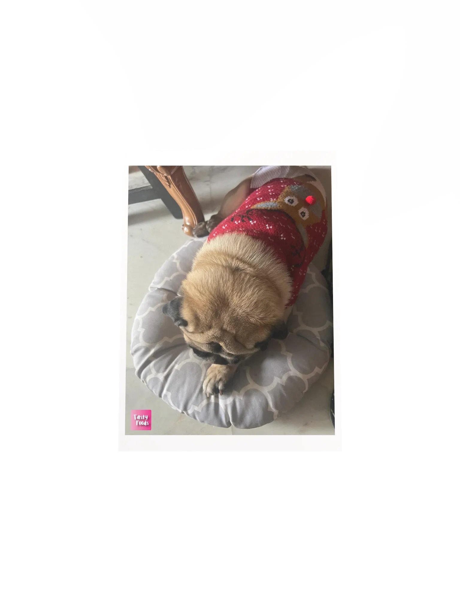 Pug Poster product image (4)