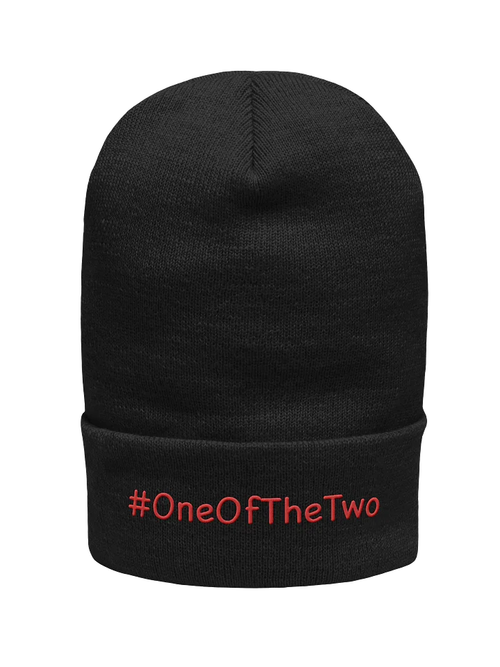One Of The Two beanie product image (1)