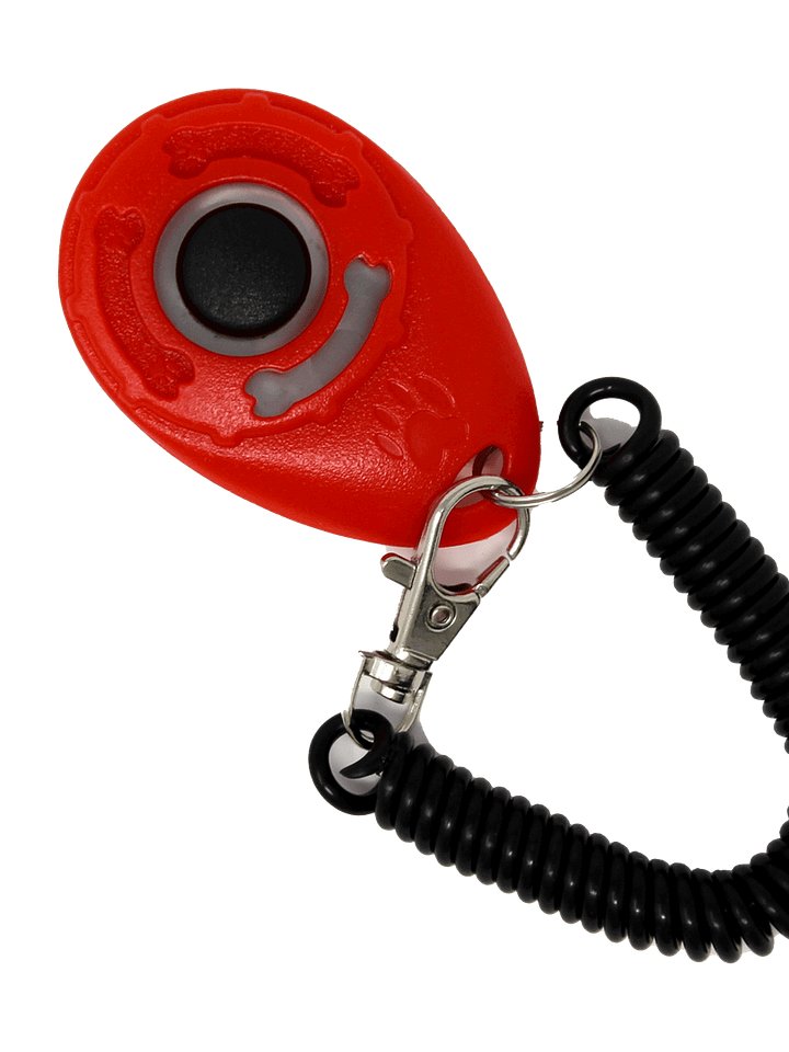 Cat Training Clicker - Assorted Colours product image (1)