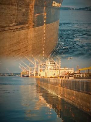 Salt on the rails. Fog in the harbor. Pride in the work. Welcome to Twin Anchor Apparel. Built for the early departures, late arrivals, and every tide in between.  Twin Anchor Apparel.  Strength in Every Tide. www.twinanchorapparel.com  #twinanchorapparelcrew #TugLife #pnwtuglife #PNWMaritime #tugboating 