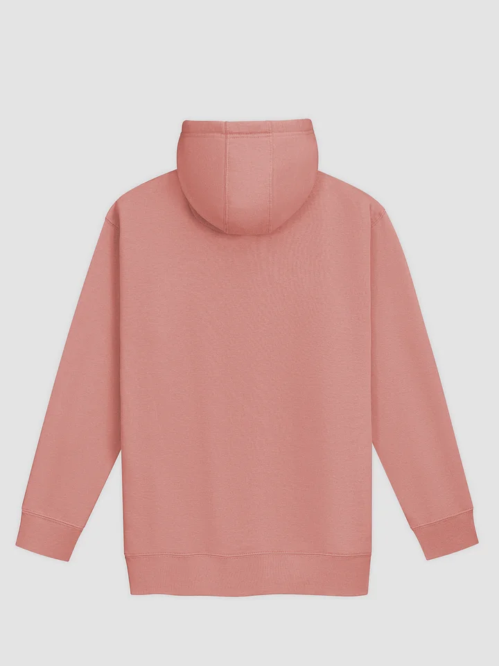 Don't Owe You Unisex Hoodie product image (2)