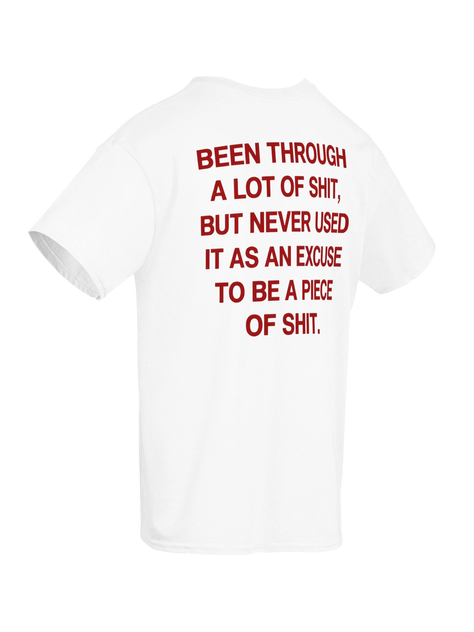 Been Through A Lot of Shit T-Shirt – Never Used It as an Excuse product image (73)