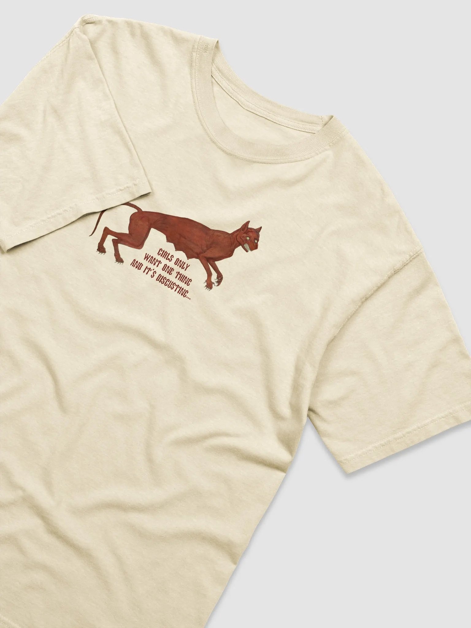 'Girls Only Want One Thing And It's Disgusting...' T Shirt (colours available) product image (3)