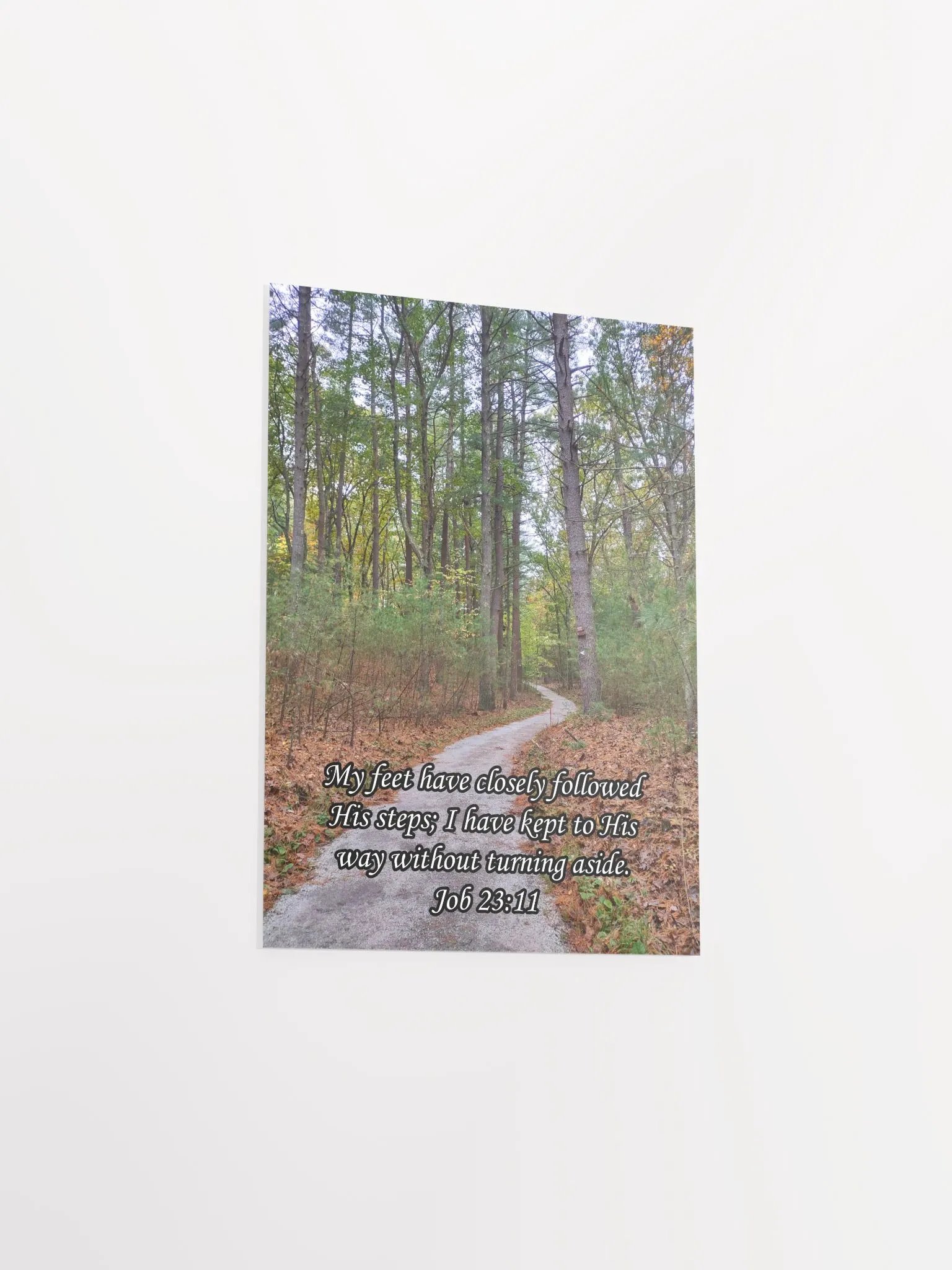 My Feet Have Followed His Steps - Print product image (6)