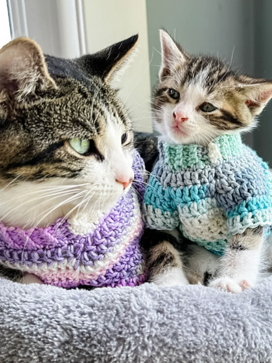 Kitty Pop Pullover Crochet Pattern product image (5)