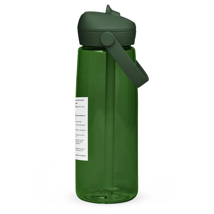 Divine Will Six Steps of Living In the Divine Will - CamelBak Water Bottle product image (2)