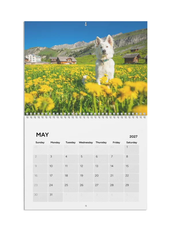 Lil Rasta Calendar 2027 product image (5)