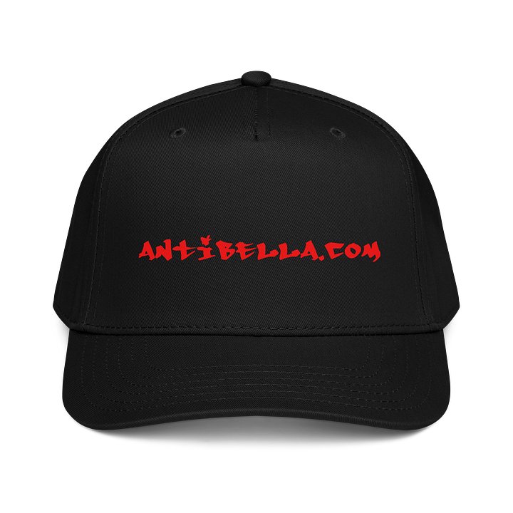 Antibella.com graffiti hat product image (1)