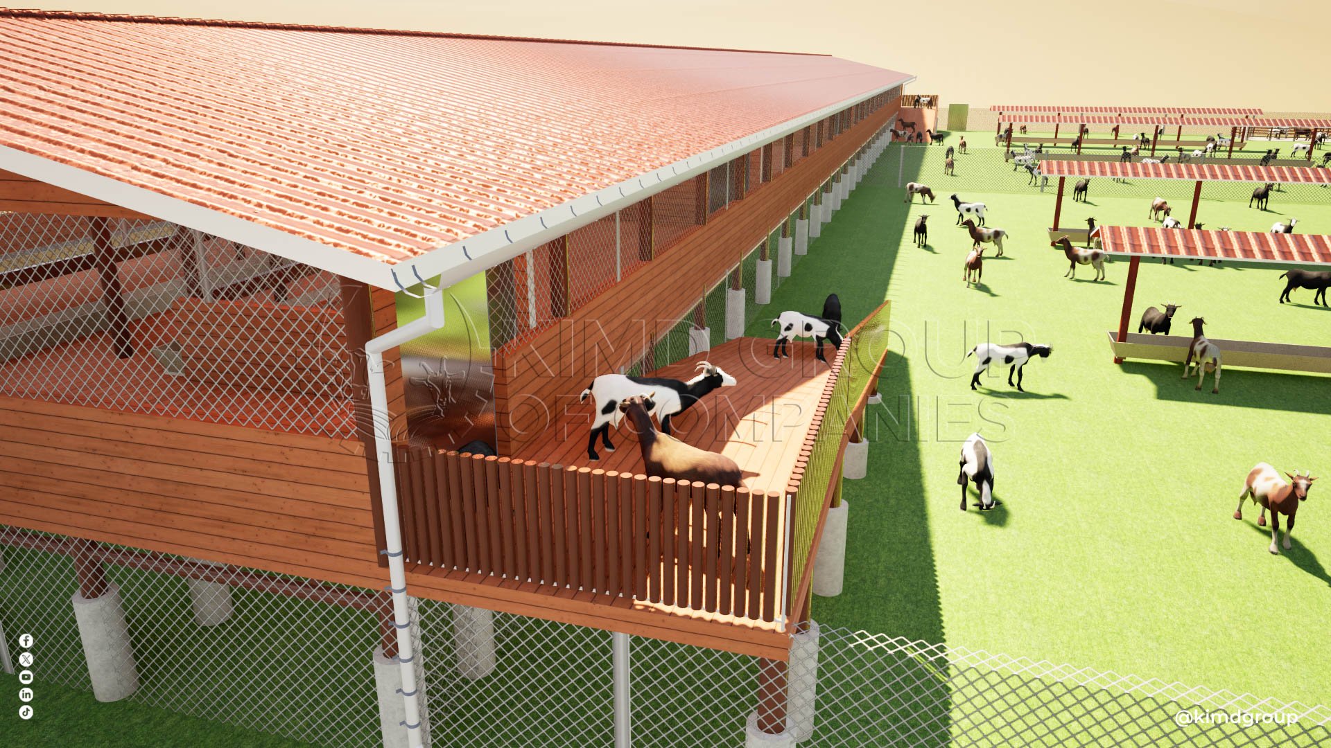 5,000 Zero Grazing Goats/Sheep Design Plan | Kimd Group