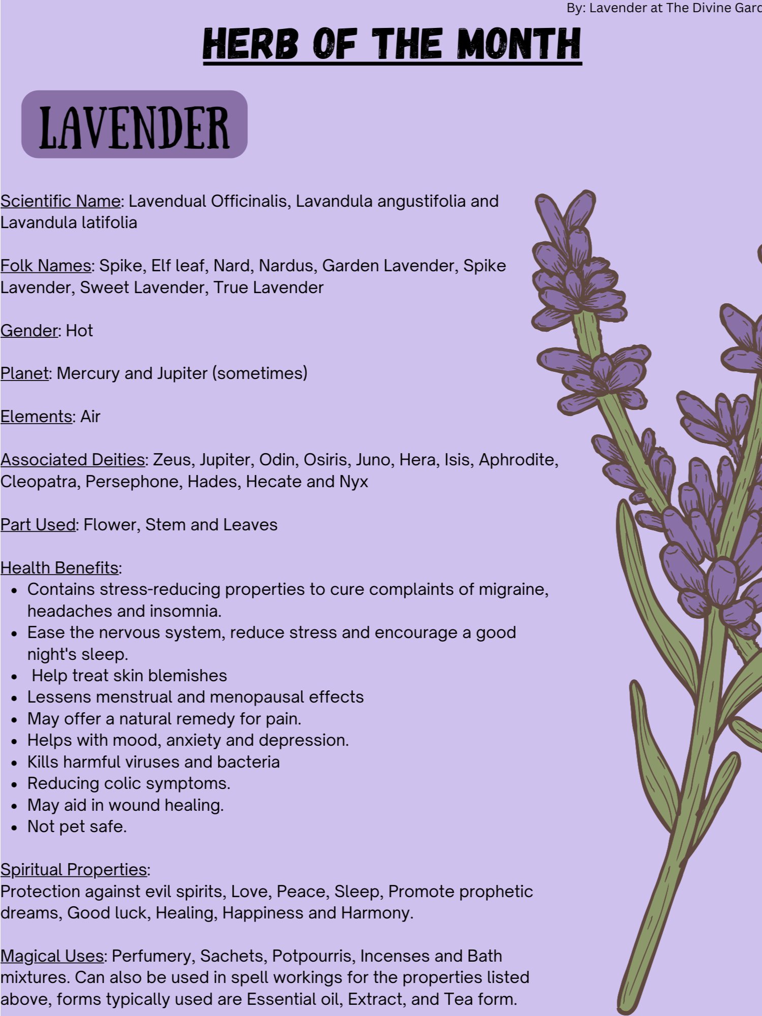 Lavender product image (1)