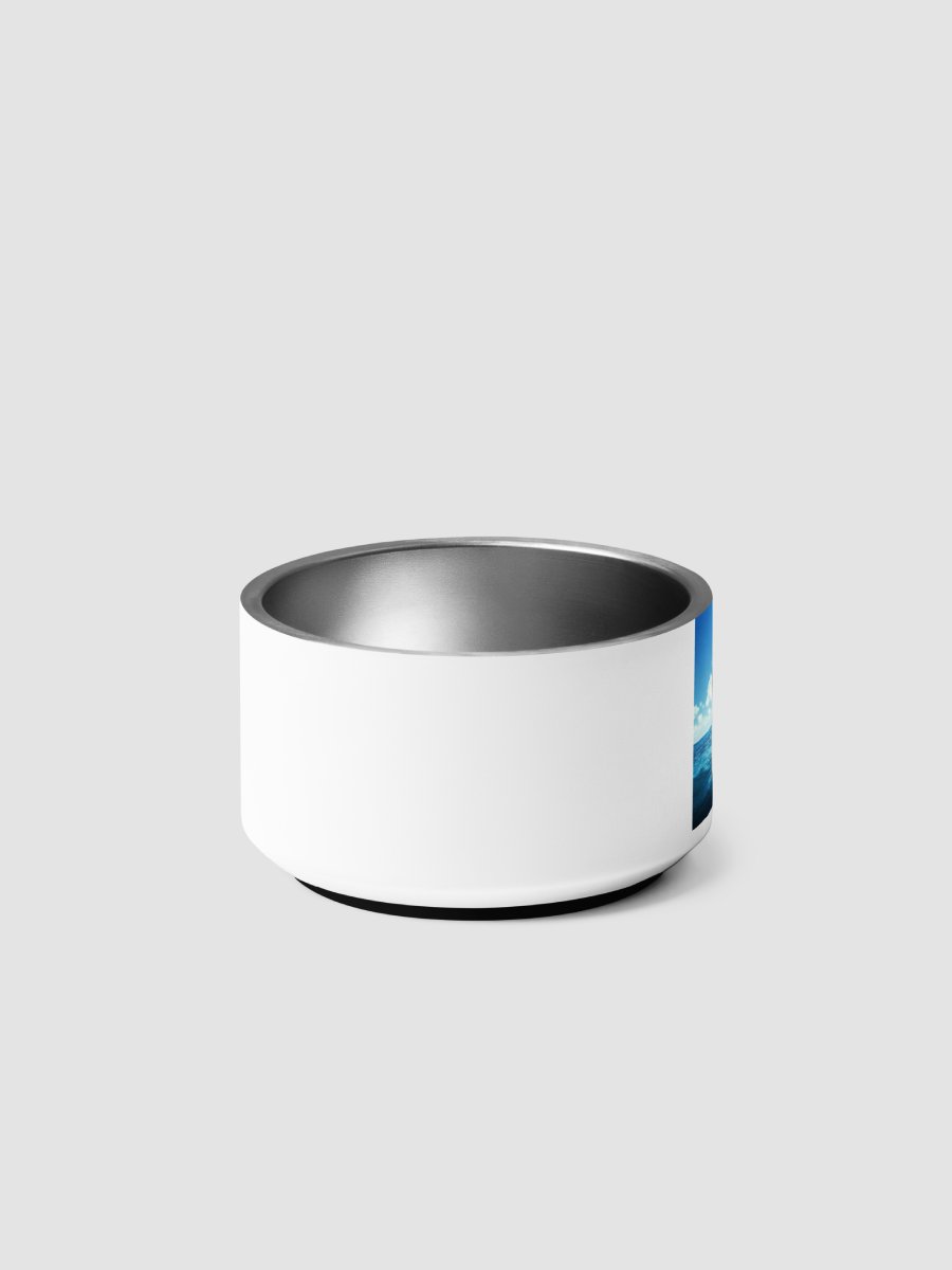 Pet Bowls product image (6)