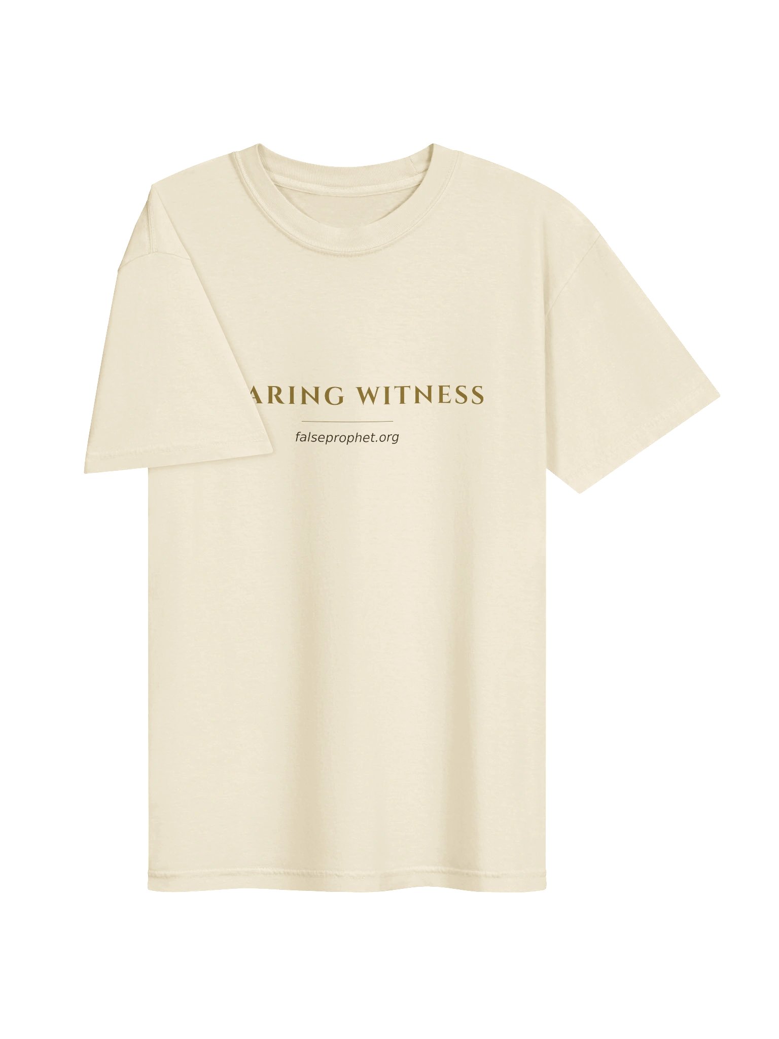 Galatians 6:7/Do Not Be Deceived T-Shirt (White) product image (3)