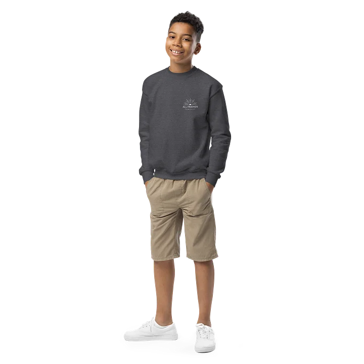 Youth Sweatshirt product image (4)