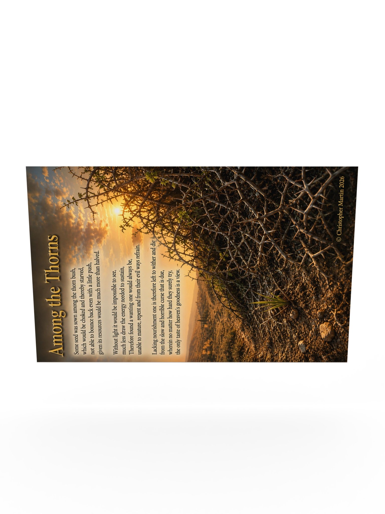 Among thorns product image (10)
