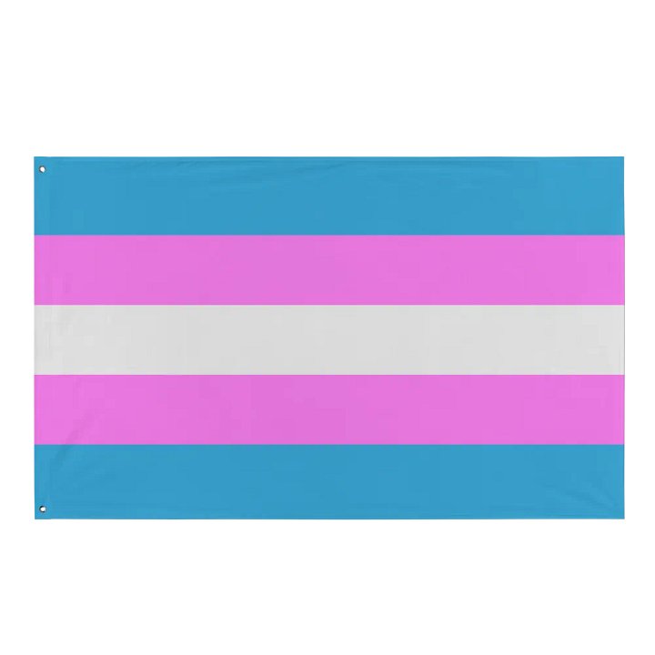 Trans Pride Flag product image (1)