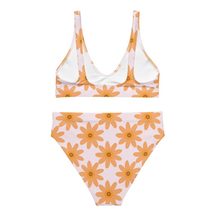 Daisy Dreams #2 High-Waisted Bikini set product image (2)