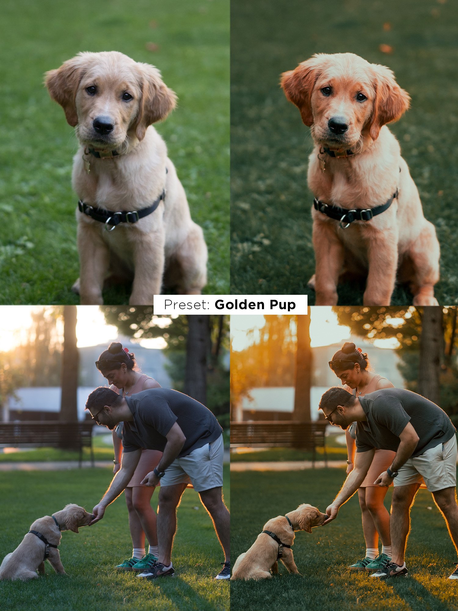 Ultimate Preset Bundle product image (10)