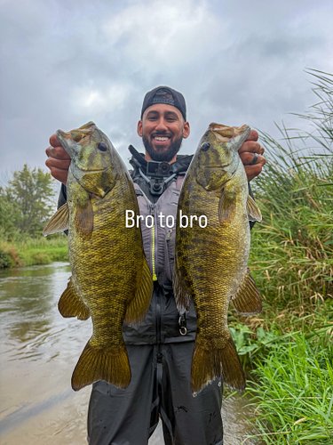 I’ve never experienced something like today. Loaded up on bronze & green with @alexruddfishing in some of the fastest moving ...