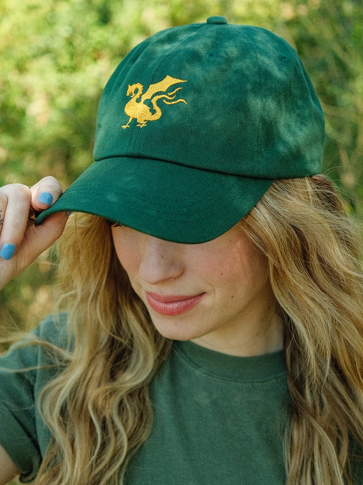 Stinky Dragon Dad Hat product image (1)