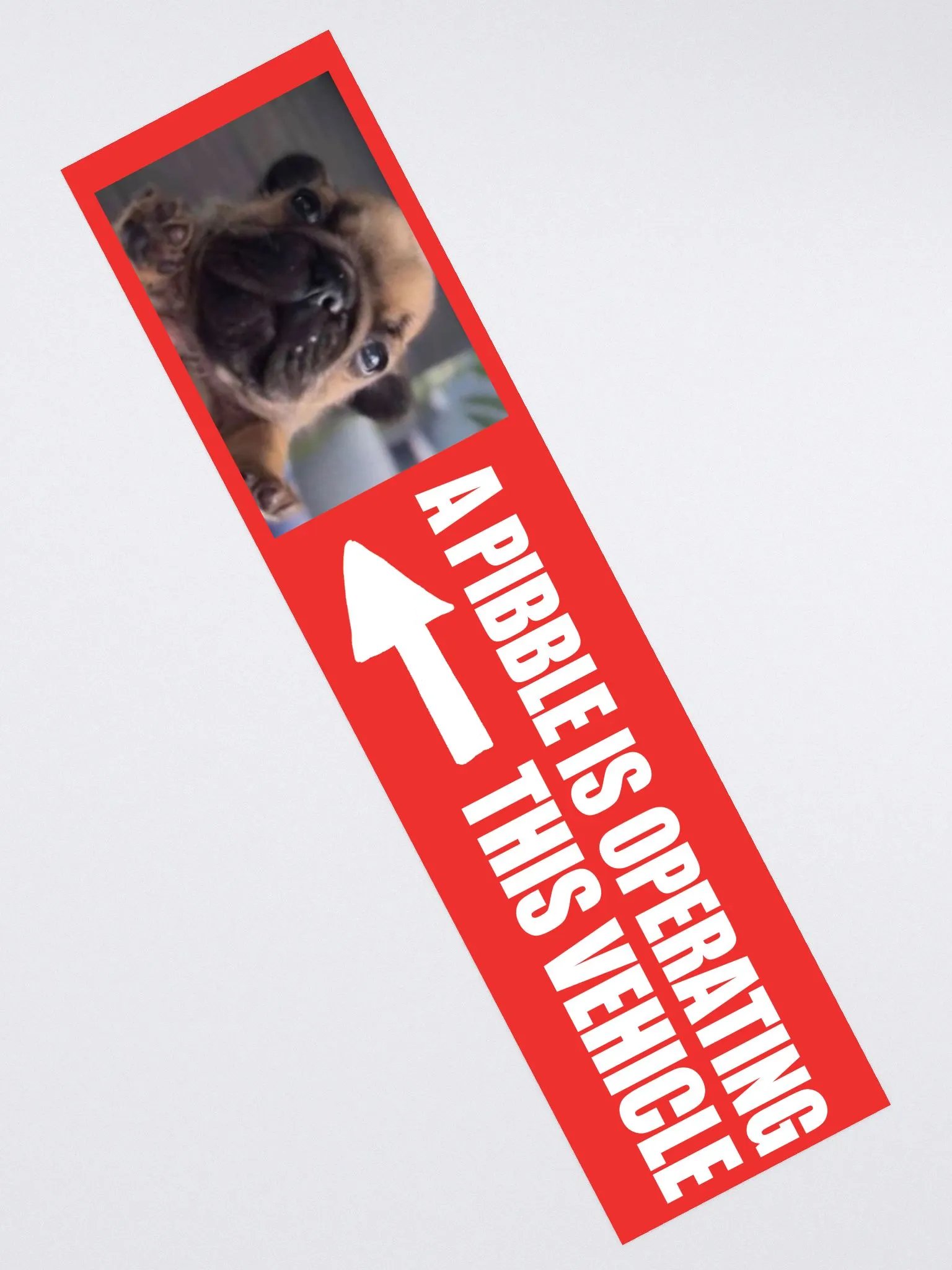 A PIBBLE IS OPERATING THIS VEHICLE product image (2)