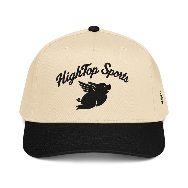 YES SIR product image (1)