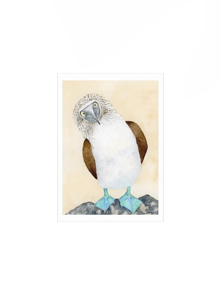 Blue-footed booby print product image (1)