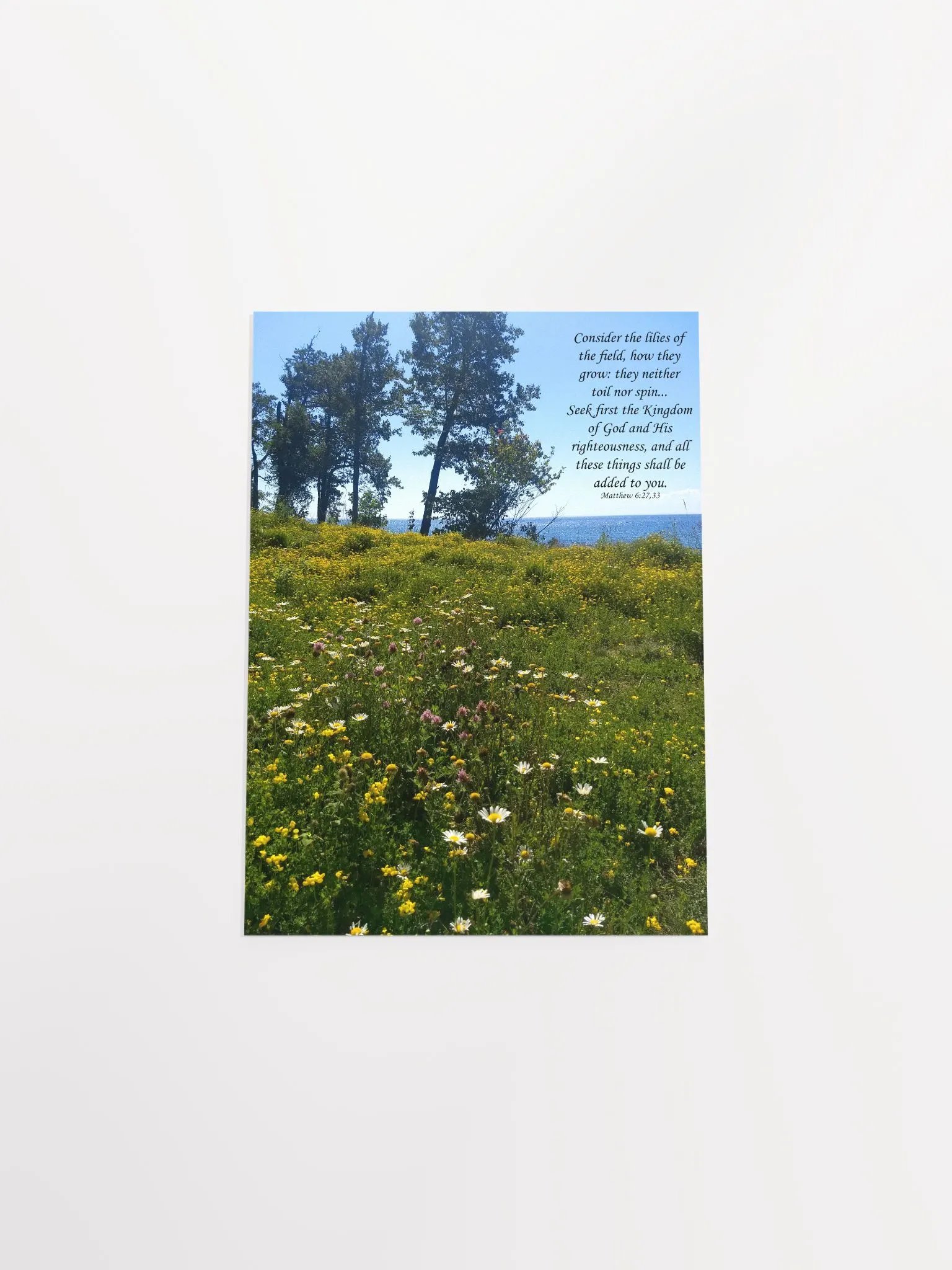 Consider the lilies - Print product image (11)