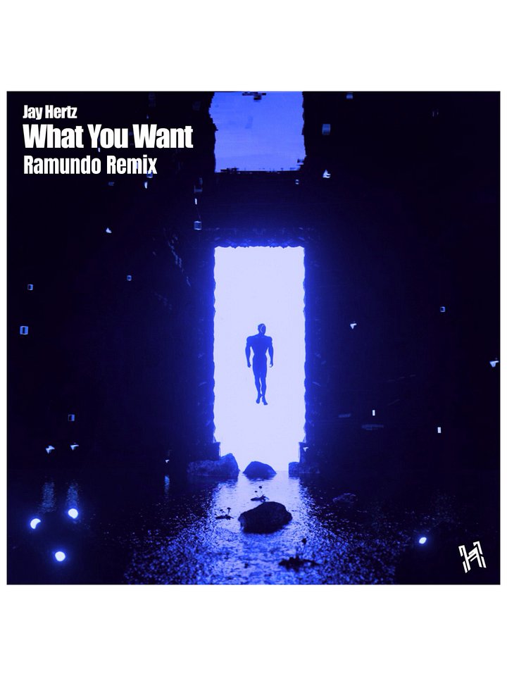 Jay Hertz - What You Want (Ramundo Remix) product image (1)