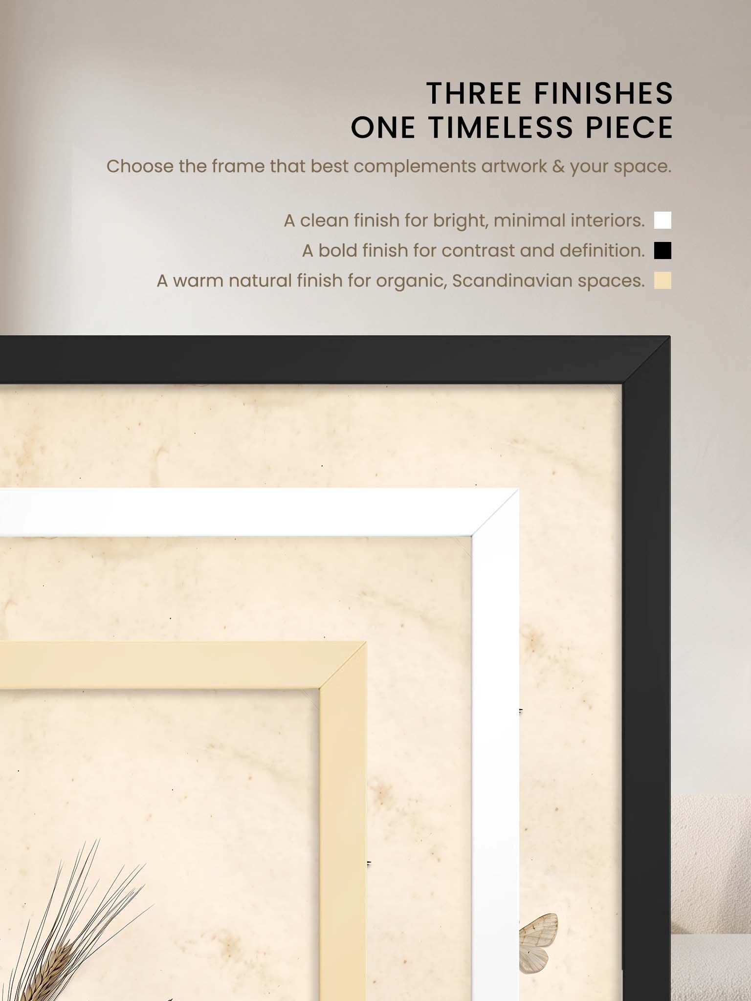 Field Notes - Vintage Botanical Herbarium Wall Art product image (74)